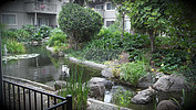 Property Image 912Gorgeous Pond